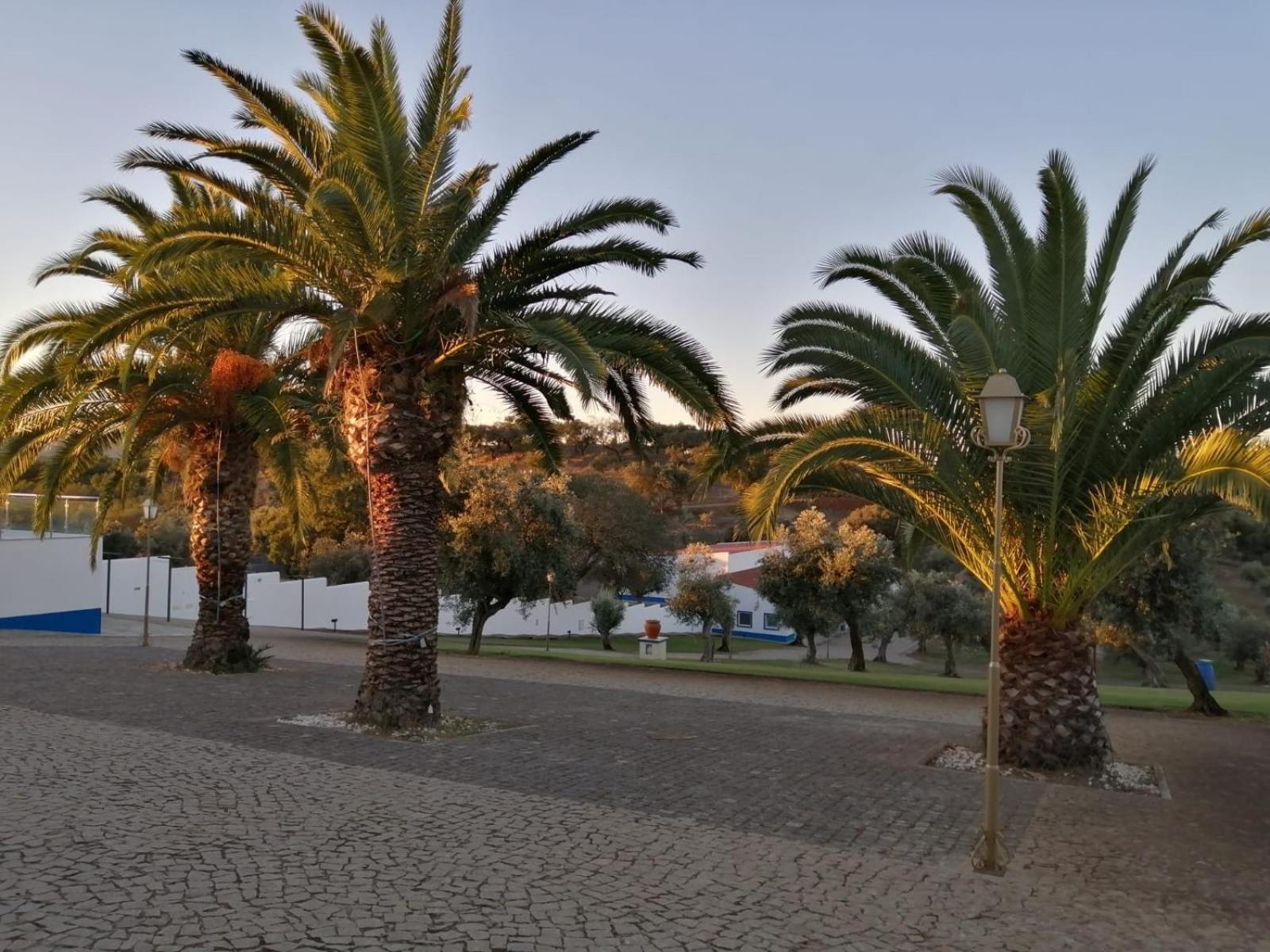 Bed and Breakfast Monte Da Pechincha Эштремош Экстерьер фото
